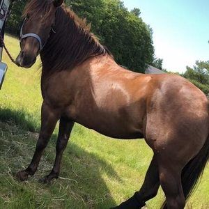 Meet your Posher, Lori